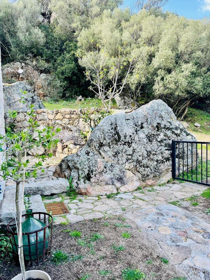 Maison De Campagne, Deux Chambres, Vue Sur Les Montagnes Sartène Exterior foto